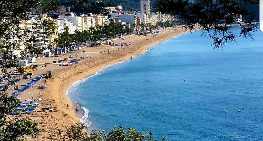 公寓 Apartaments Sant Pere 滨海略雷特